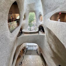 American Museum of Natural History